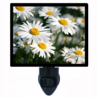 Daisy Decorative Photo Night Light. Spring Daisies. Free Extra Picture For Lights.