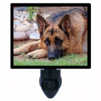 Dog Decorative Photo Night Light. German Shepherd. Free Extra Picture For Lights.