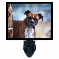 Dog Decorative Photo Night Light. Boxer. Dogs. Free Extra Picture For Lights.