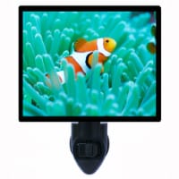 Fish Decorative Photo Night Light. Clown Fish. Free Extra Picture For Lights.