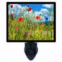 Flower Photo Night Light. Colorful Wildflowers. Free Extra Picture For Lights.