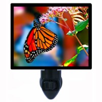 Butterflies Decorative Photo Night Light. Monarch Butterfly. Free Extra Picture For Lights.