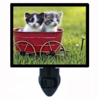 Cat Decorative Photo Night Light. Tiny Delivery. Free Extra Picture For Lights.