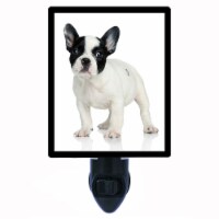 Dog Decorative Photo Night Light. French Bulldog. Free Extra Picture For Lights.