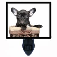 Dog Decorative Photo Night Light. Black French Bulldog. Free Extra Picture For Lights.
