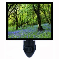 Landscape And Garden Photo Night Light. Bluebell Fairyland. Free Extra Picture For Lights.
