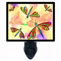 Dragonfly Decorative Photo Night Light. Colorful Dragonflies. Free Extra Picture For Lights.