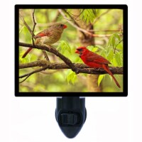Bird Decorative Photo Night Light. Two Cardinals In Tree. Free Extra Picture For Lights.