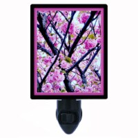 Spring Decorative Photo Night Light. Cherry Blossoms. Free Extra Picture For Lights.