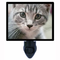 Cat Decorative Photo Night Light. Free Switchable Insert. Mr. Whiskers
