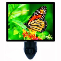 Butterfly Decorative Photo Night Light. Free Switchable Insert. Summer Monarch
