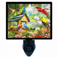 Bird Decorative Photo Night Light. Dinner Time. Free Extra Picture For Lights.