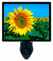 Sunflowers Decorative Photo Night Light. Sunflower Field. Free Extra Picture For Lights.