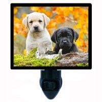 Dogs Night Light. Yellow And Black Labs. Labrador Retrievers. Free Extra Picture For Lights.