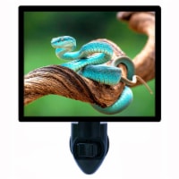 Snakes Decorative Photo Night Light. Blue Viper Snake. Free Extra Picture For Lights.