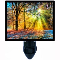 Landscape Decorative Photo Night Light. Morning Sunrays. Free Extra Picture For Lights.
