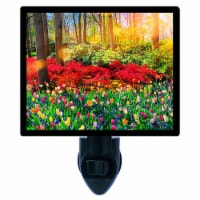 Tulips Decorative Photo Night Light. Spring Flowers. Free Extra Picture For Lights.