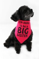 Midlee I'm Going to be a Big Sister Dog Bandana (Small)