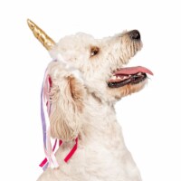 Midlee Dog Unicorn Horn Headband Halloween Costume
