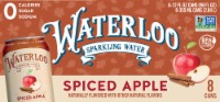 Waterloo® Spiced Apple Flavored Sparkling Water Cans Perspective: Main