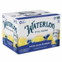Waterloo® Meyer Lemon Blueberry Still Water Perspective: Main