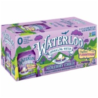 Waterloo® Huckleberry Cobbler Sparkling Water Perspective: Main