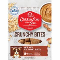 Chicken Soup 418478 12 oz Crunchy Bites Peanut Butter Biscuit Dog Treats Food