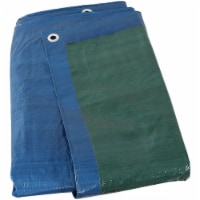 Sunnydaze Polyethylene Multi-Purpose Tarp - Blue/Green - 16 ft x 20 ft