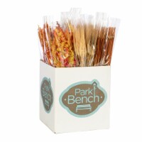 CBK Harvest Select Naturals Decor Assortment