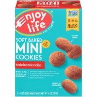Enjoy Life® Soft Baked Mini Snickerdoodle Cookies Perspective: Main
