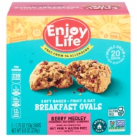 Enjoy Life™ Gluten-Free Berry Medley Breakfast Ovals Perspective: Main