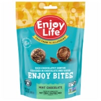 Enjoy Life™ Mint Chocolate Protein Bites Perspective: Main