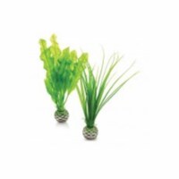 Biorb 822728002162 Easy Plant Set, Green - Medium - Pack of 2