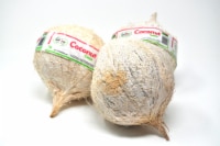 Latin Specialties Dry White Coconut Perspective: Main