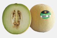 Pure Perfection Melon Perspective: Main