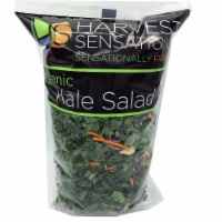 Harvest Sensations Organic Kale Salad