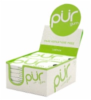 Pur Aspartame Free Coolmint Gum Multipack