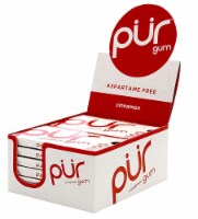 Pur Aspartame Free Cinnamon Gum Multipack