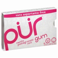 Pur Pomegranate Mint Gum Perspective: Main