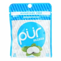Pur Mint Gum - Peppermint - Case Of 12 - 60