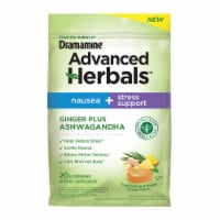 Dramamine® Advanced Herbals™ Nausea + Stress Support Lozenges Perspective: Main