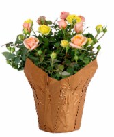 Asca Bicolor Mini Rose Potted Plant