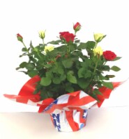 Patriotic Bi-color Roses - Red / Yellow