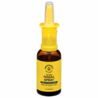 Beekeeper's Naturals Propolis Nasal Spray Perspective: Main