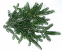 Holiday Fresh Fraser Fir Bunch