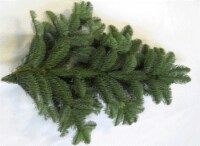 Holiday Fresh Noble Fir Bunch