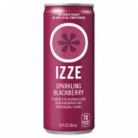 IZZE® Blackberry Sparkling Juice Can Perspective: Main