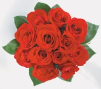 Dozen Roses Bouquet