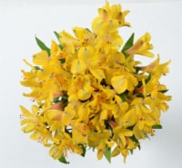 Alstroemeria Lily Bunch