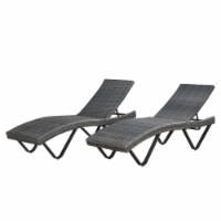 Noble House San Marcos Gray Chaise Lounge (Set of 2)
